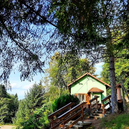 Gite L'Envol Villa Belval  Luaran gambar